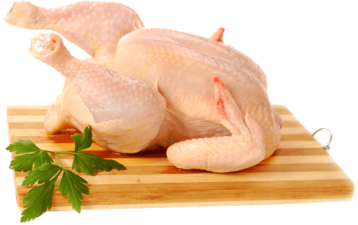 chicken Meat (5)