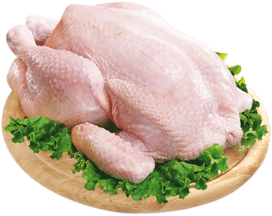 chicken Meat (6)